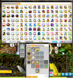 cash shop.png