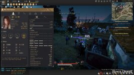 Valk Lvl60 1236 Skill Points.JPG