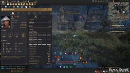 Wiz Lvl 61 851 Skill Points.JPG