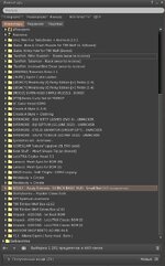 1612472599.ayathefox_file.jpg