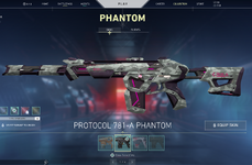 Valorant Skins 5.png