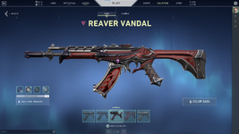 5 - vdpe97r.png
