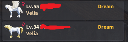 Dream Horses.png