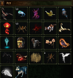 7.png
