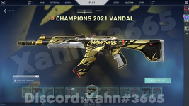 Champion Vandal.png