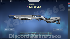 ION Bucky.png
