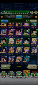 Screenshot_2022-10-14-06-37-31-936_com.bandainamcogames.dbzdokkanww.jpg