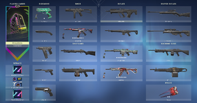 skins.png