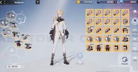 Char and gear.jpg