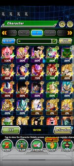 Screenshot_2022-10-19-15-02-29-176_com.bandainamcogames.dbzdokkanww.jpg
