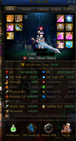 ds info.png