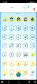 Screenshot_20221020-181834_Pokmon GO.jpg