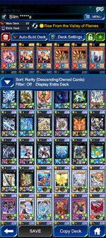 Screenshot_20221022-011127_Duel Links.jpg