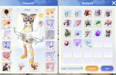 RO account.jpg