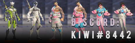 OWL and COntenders Skins.png