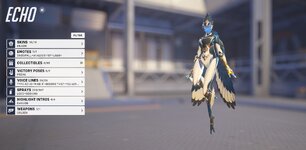 Echo1.jpg