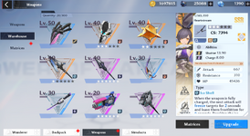 weapon 2.PNG