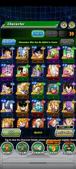 Screenshot_20221110-195917_Dokkan.jpg