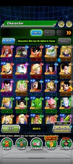 Screenshot_20221110-195944_Dokkan.jpg