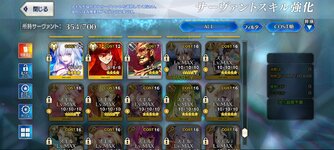 Screenshot_2022-11-11-11-11-52-911_com.aniplex.fategrandorder.jpg