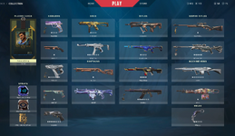 SKINS.png