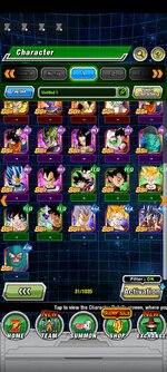 Screenshot_2022-11-13-08-28-45-270_com.bandainamcogames.dbzdokkanww.jpg