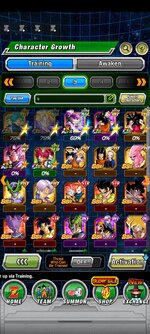 Screenshot_2022-11-15-06-44-13-535_com.bandainamcogames.dbzdokkanww.jpg