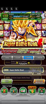 Screenshot_2022-11-15-06-48-57-360_com.bandainamcogames.dbzdokkanww.jpg