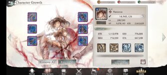 Screenshot_20221115-232442_Memento Mori.jpg
