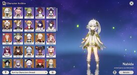 GenshinImpact_dfrwb8intS.jpg