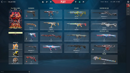 Collection.png