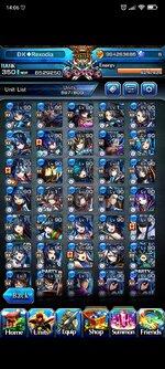 Screenshot_2022-11-22-14-06-05-841_jp.goodsmile.grandsummonersglobal_android.jpg