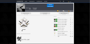 gb profile.PNG