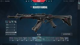image-5.png