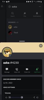 Screenshot_20221123-152134_Discord.jpg