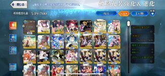 fgo1.jpg