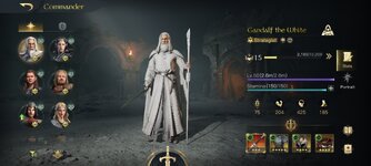 Screenshot_2022-11-25-22-12-54-230_com.netease.lotr.jpg