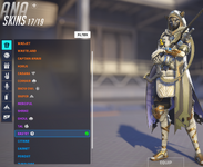skinsana.PNG