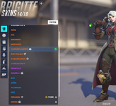 skinsbrig.PNG