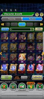 Screenshot_2022-12-03-16-22-37-231_com.bandainamcogames.dbzdokkanww.jpg
