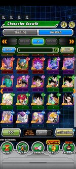 Screenshot_2022-12-03-16-22-43-934_com.bandainamcogames.dbzdokkanww.jpg