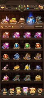 Screenshot_20221203-181848_7DS.jpg
