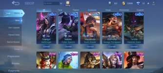 Screenshot_2022-12-04-17-27-25-176_com.mobile.legends.jpg