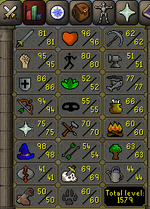 2.png