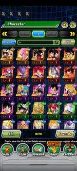 Screenshot_2022-12-05-06-13-40-155_com.bandainamcogames.dbzdokkanww.jpg