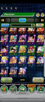 Screenshot_2022-12-05-06-13-42-092_com.bandainamcogames.dbzdokkanww.jpg