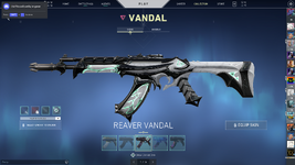 Valorant_Screenshot_2022.07.22_-_18.56.30.28.png