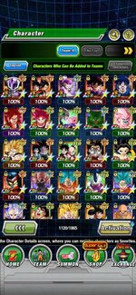 Screenshot_2022-12-11-19-38-31-312_com.bandainamcogames.dbzdokkanww.jpg