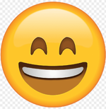 1671062559372.png