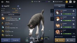 pet 2.jpg